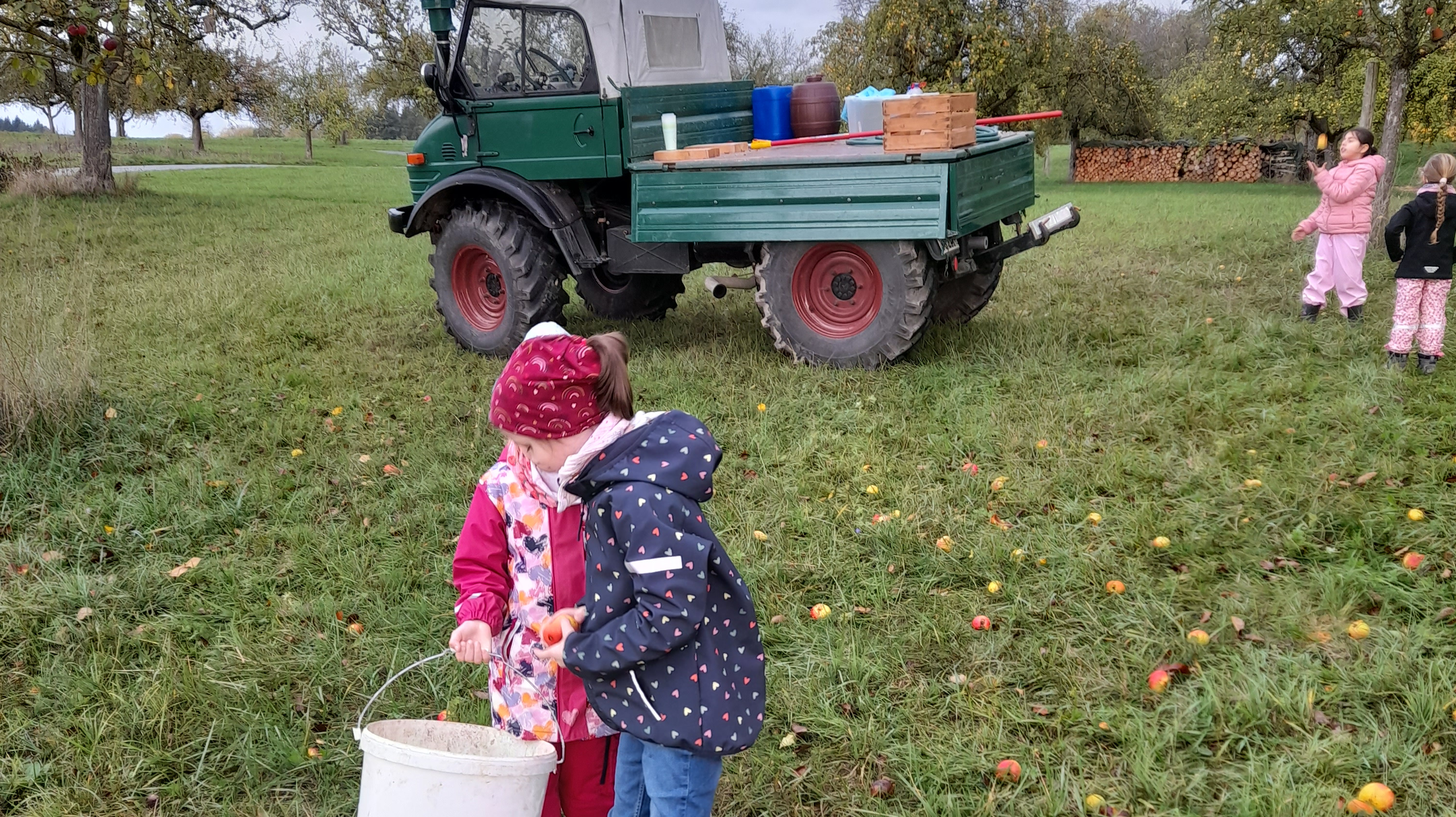 Kinder bei der Apfelernte